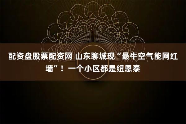 配资盘股票配资网 山东聊城现“最牛空气能网红墙”！一个小区都是纽恩泰